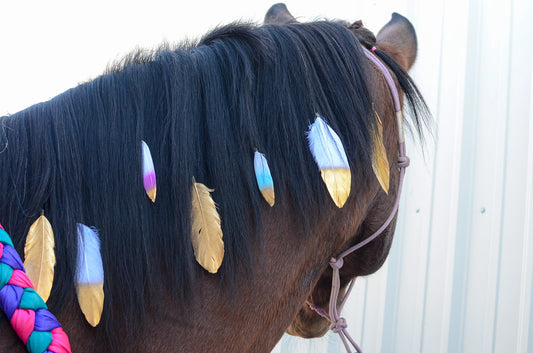 Mane Feathers For Horses - Set of 3